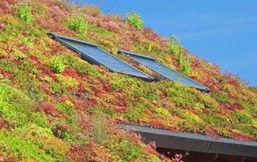 Mordiford living roof systems