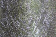 Mordiford fibreglass roof work